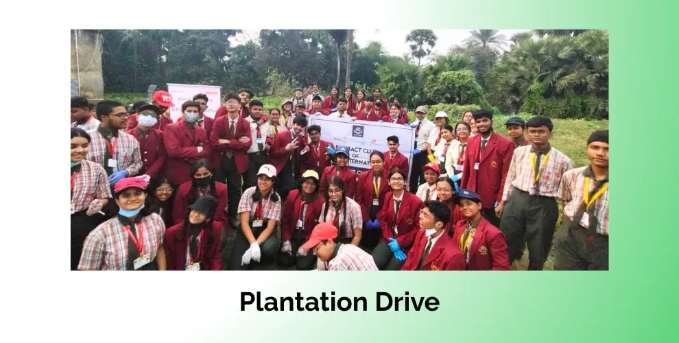 Plantation